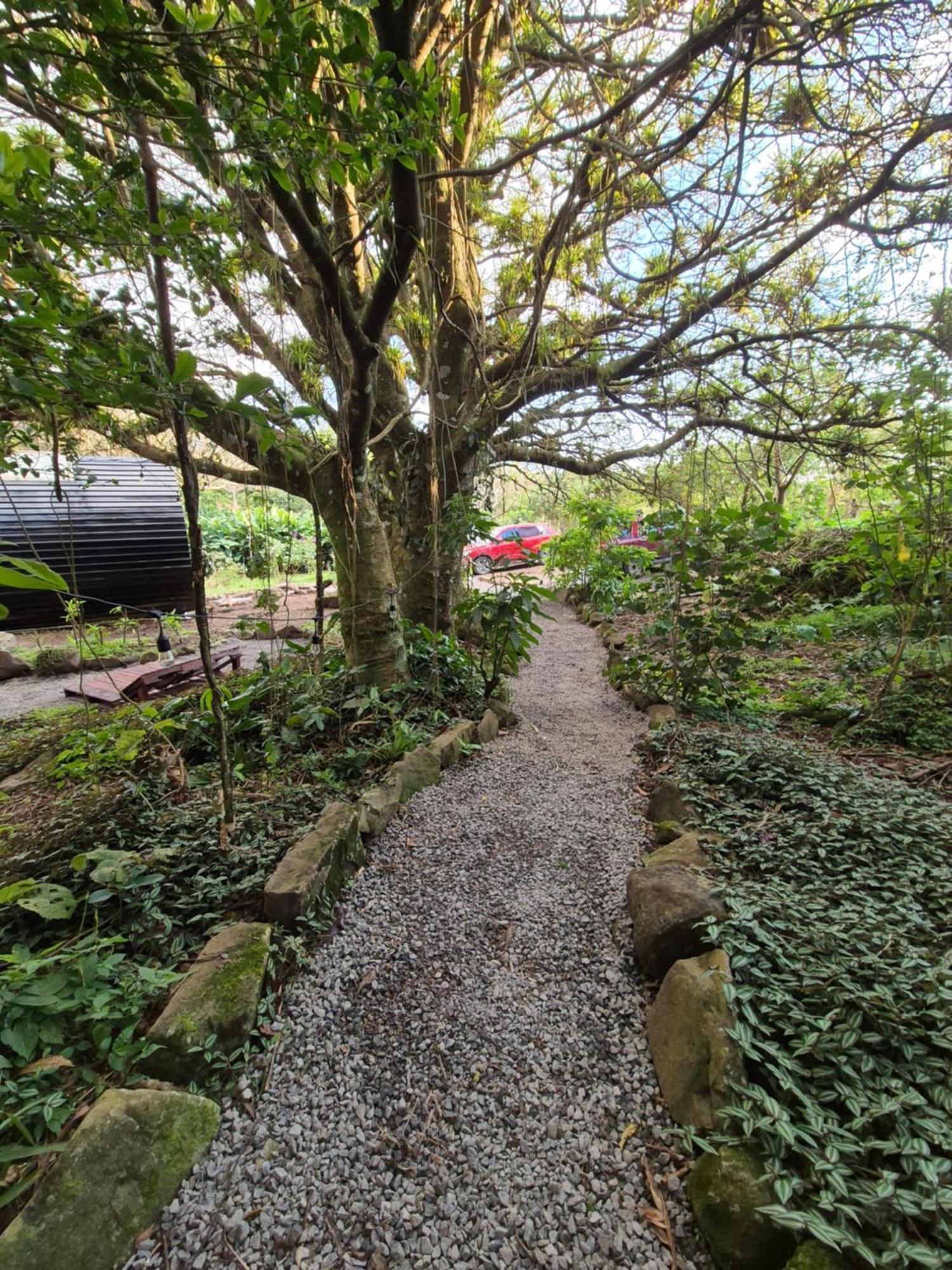 Glamping Monteverde Exterior photo